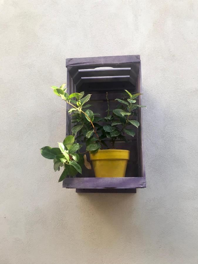Vesuvio Rooms Gragnano Kültér fotó